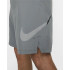 Pantalons Nike Homme Short Dri-FIT Gris