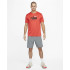 Pantalons Nike Homme Short Dri-FIT Gris