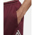 Pantalons basket-ball Nike Homme de Gianni Purple