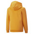 Sweat à capuche Puma Essentials+ Kids