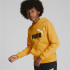 Sweat à capuche Puma Essentials+ Kids