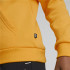 Sweat à capuche Puma Essentials+ Kids