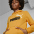 Sweat à capuche Puma Essentials+ Kids