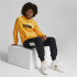 Sweat à capuche Puma Essentials+ Kids