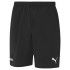 Short Hommes Puma TeamLIGA BK