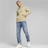 Puma Essential Men's Hoodie BG