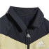 Tracksuit adidas Future Icons Shiny Kids BK
