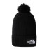 Chapeau à pompon The North Face Logo Box BK