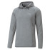 Sweatshirt Hommes Puma Evostripe Gris