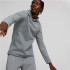 Sweatshirt Hommes Puma Evostripe Gris