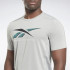 T-shirt Fitness Reebok Activchill Graphic Homme Gris