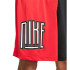 Pantalons basket-ball Nike en Dri-FIT rouge/noir Homme