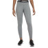 Collants fitness Nike de Pro 365 grey Femme