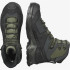 Bottes d'alpinisme Salomon Quest Element Gore-Tex Noir/Vert Homme