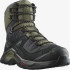 Bottes d'alpinisme Salomon Quest Element Gore-Tex Noir/Vert Homme