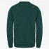 Sweatshirt The North Face Drew Peak bleu Homme