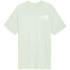 Mountain T-Shirt The North Face Coordinates Hommes Gris