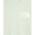 Mountain T-Shirt The North Face Coordinates Hommes Gris