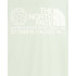 Mountain T-Shirt The North Face Coordinates Hommes Gris