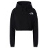 Sweat de Montagne The North Face Logo Noir Femme