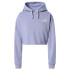 Mountain Sweatshirt The North Face Logo Lilas Femmes