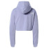 Mountain Sweatshirt The North Face Logo Lilas Femmes