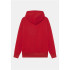 Sweatshirt Nike Jordan Jumpman Little Kids red Boy