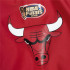 Veste basket-ball de Mitchell & Ness Chicago Bulls