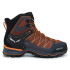 Chaussures montagne de Salewa Trainer Lite Mid marron Homme