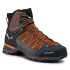 Chaussures montagne de Salewa Trainer Lite Mid marron Homme