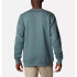 Columbia™ Logo Fleece Crew Mountain Sweatshirt Green Hommes