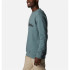 Columbia™ Logo Fleece Crew Mountain Sweatshirt Green Hommes