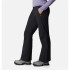 Columbia Shafer Canyon™ Mountain Pants Noir Femmes Noir