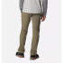 Mountain Pants Columbia Triple Canyon™ Men's Green