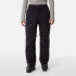 Pantalons de Montagne The North Face Chakal Noir Homme