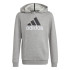 Sweatshirt adidas Essentials Two Coloured Big Logo Kids Grey