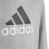 Sweatshirt adidas Essentials Two Coloured Big Logo Kids Grey