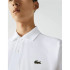 Polo Lacoste Blanc côtelé Homme