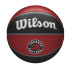 Balle Basket-ball Wilson de NBA Team Tribute Toronto Raptors Rouge