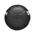 Ballon de basket Wilson NBA Team Tribute Mini GSW Noir
