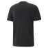 Puma Essentials T-Shirt + 2 Col Logo Man Black