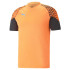 Puma Individual Cup Training Ultra Orange Football Shirt
