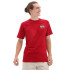 T-shirt Vans Otw Og 66-B Red Man