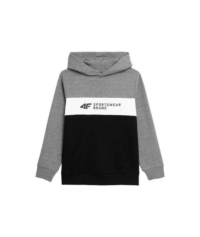 Sweat 4F JBLM003 Garçon gris