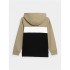 Sweatshirt 4F JBLM003 Boy Brown