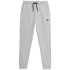 Pantalon de fitness 4F Garçons Gris