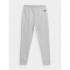 Pantalon de fitness 4F Garçons Gris