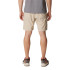 Pantalons columbia Silver Ridge™ Utility Cargo Marron Homme