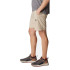 Pantalons columbia Silver Ridge™ Utility Cargo Marron Homme