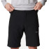 Pantalons columbia Silver Ridge™ Utility Cargo Trekking Utility Cargo Black Homme